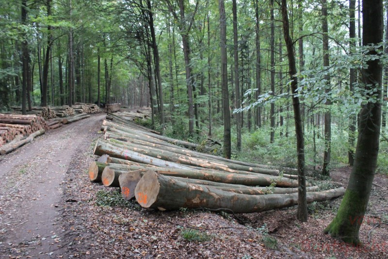 Bildle Nummära 015.jpg