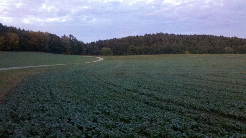 2015-10-08 Raps 2.jpg