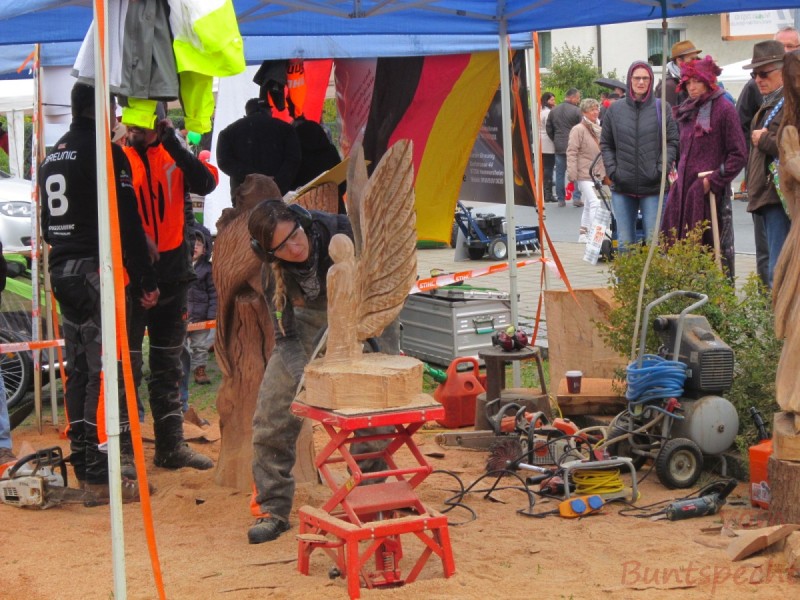 Bildle Nummära 005.jpg