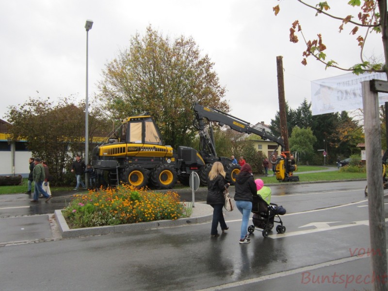 Bildle Nummära 007.jpg