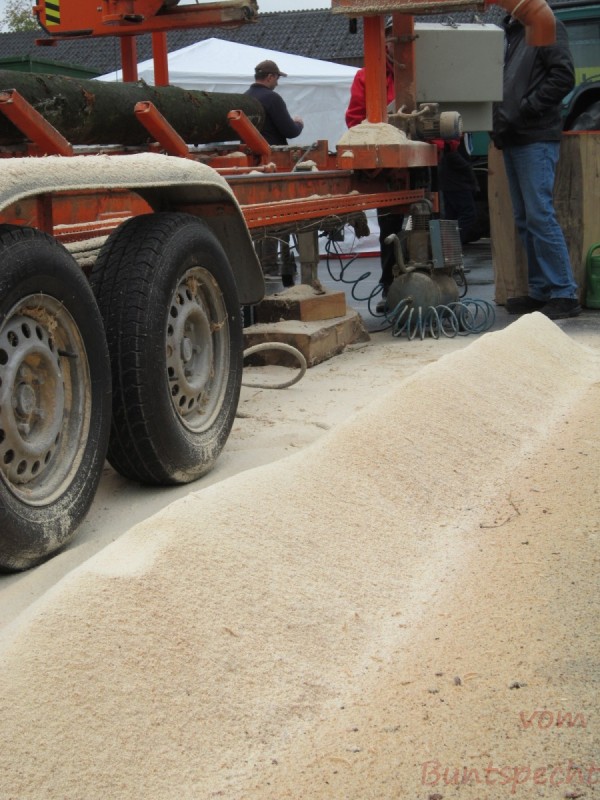 Bildle Nummära 010.jpg