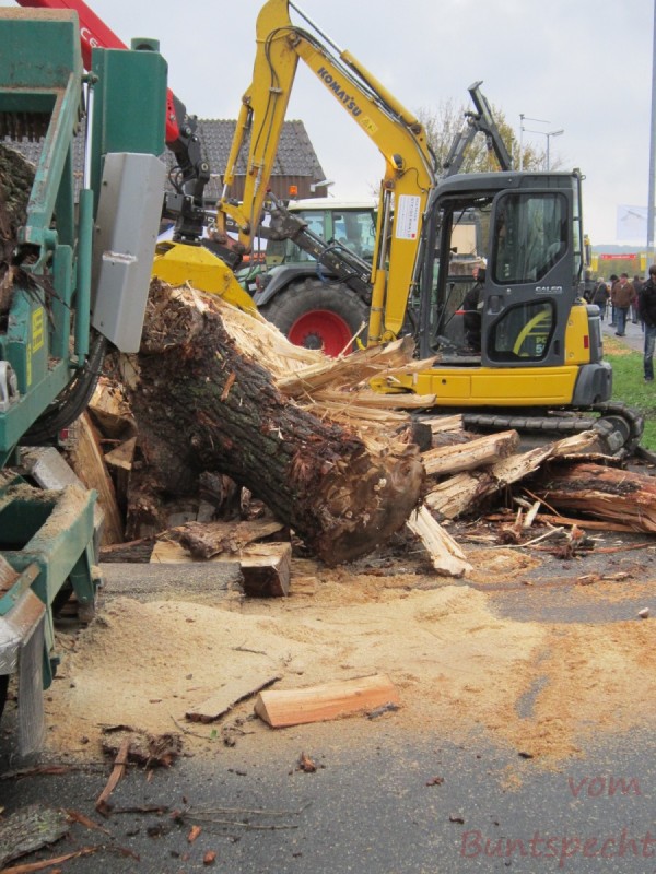 Bildle Nummära 011.jpg