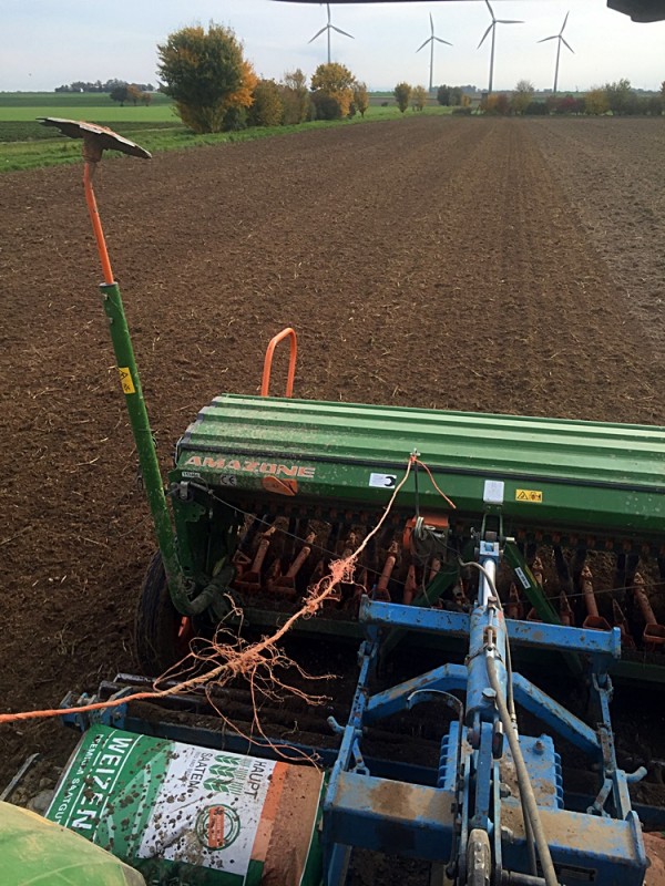 2015-10-24 nach Erbsen-Ramtillkraut.JPG