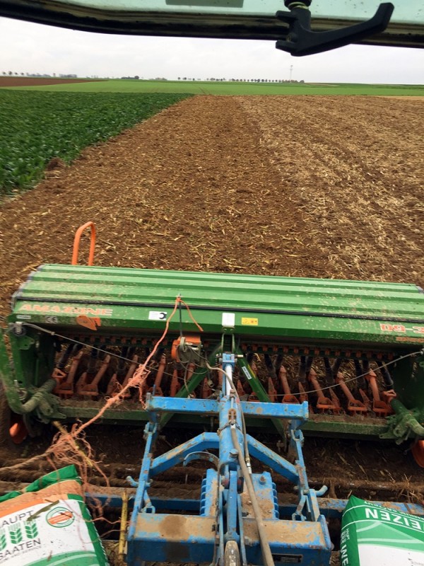 2015-10-24 nach Mais-LKS.JPG