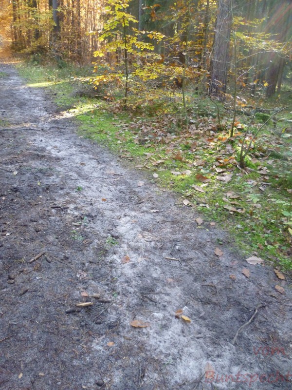 Bildle Nummära 003.jpg