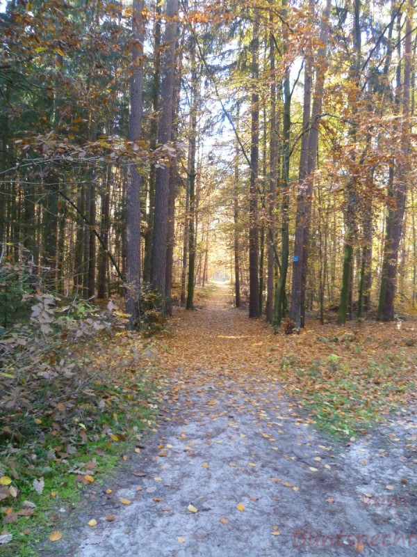 Bildle Nummära 004.jpg