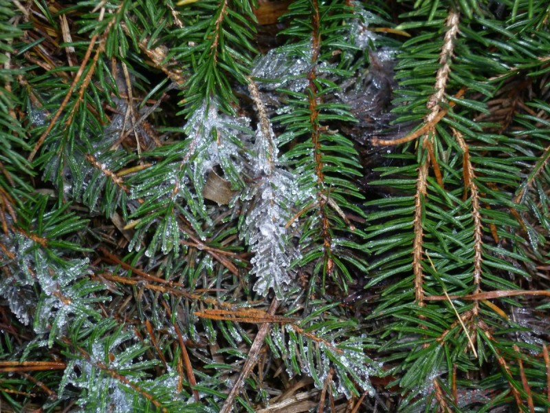 Bildle Nummära 006.jpg