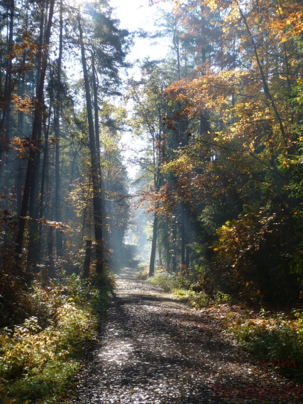 Bildle Nummära 007.jpg