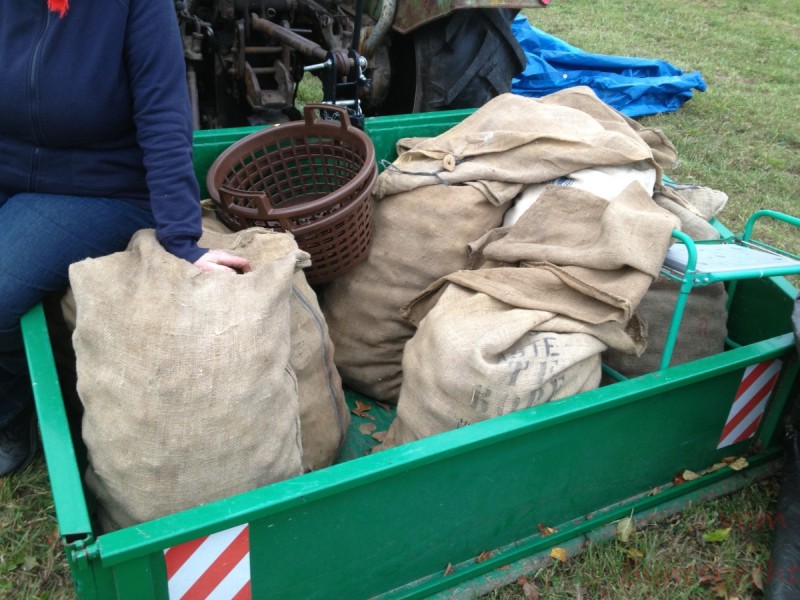 Bildle Nummära 003.jpg