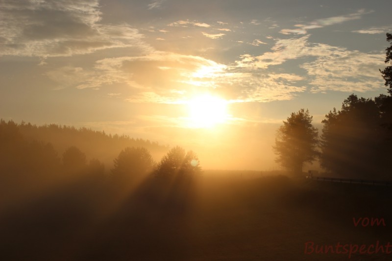 Bildle Nummära 002.jpg