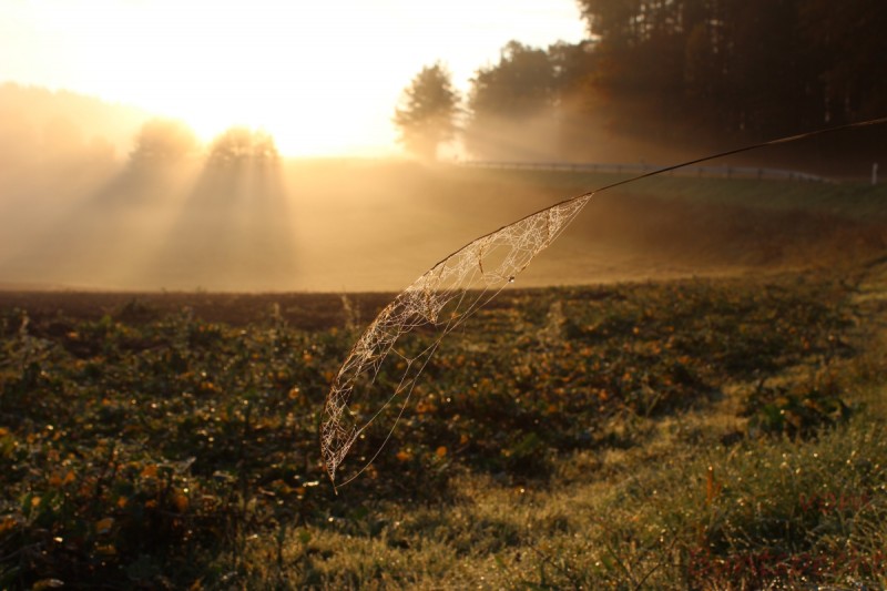 Bildle Nummära 004.jpg