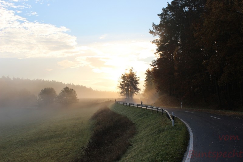 Bildle Nummära 005.jpg