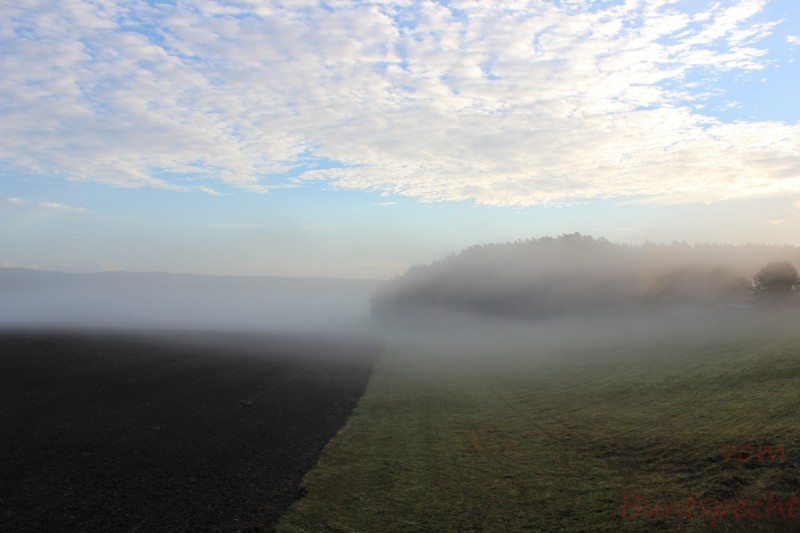 Bildle Nummära 006.jpg