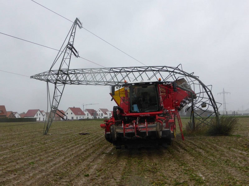 11222272_991008987627804_1317429508566081428_o (1).jpg