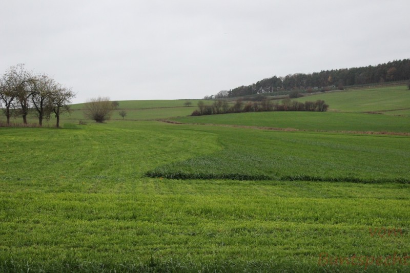 Bildle Nummära 003.jpg