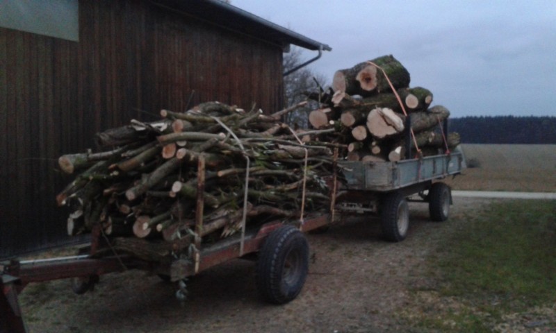 sonja handy 191_1.jpg