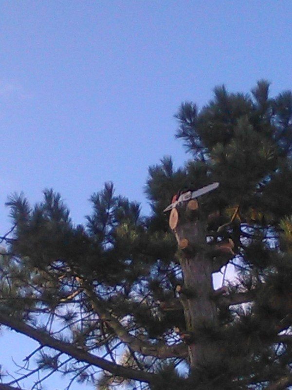 IMG_20151128_110022 (1).jpg