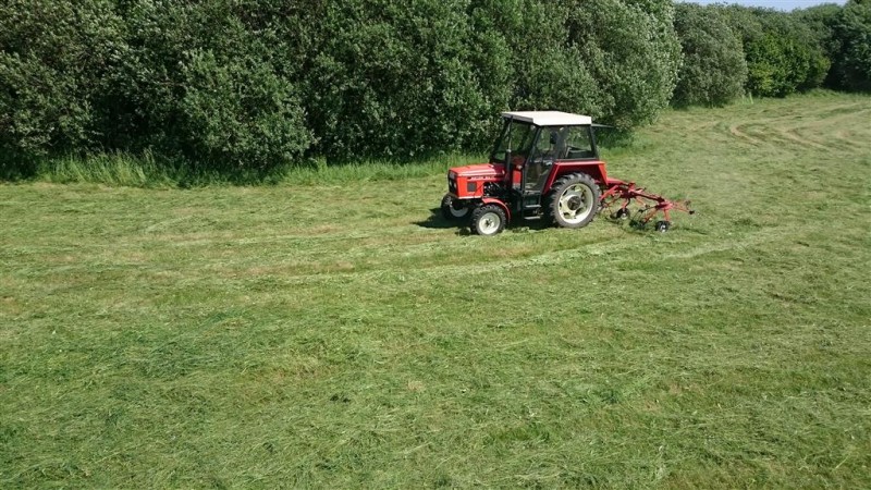 DSC_0127 (Individuell).JPG