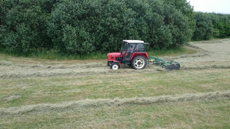 DSC_0170 (Individuell).JPG