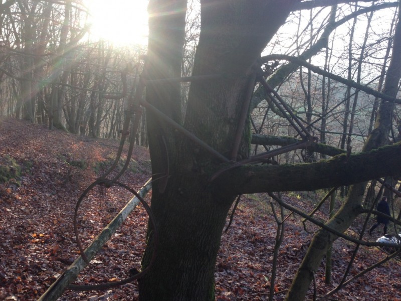 fahrrad vergessen.JPG