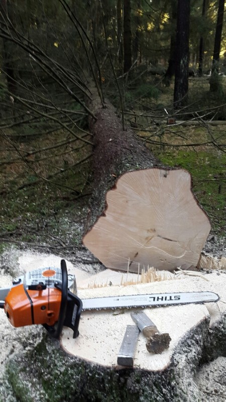 2015-12-09 12.03.00.jpg