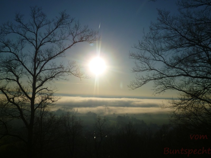 Bildle Nummära 001.jpg