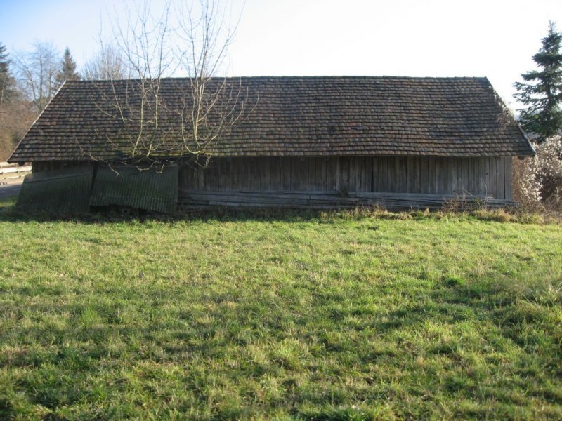 Schuppen Rückseite klein.jpg