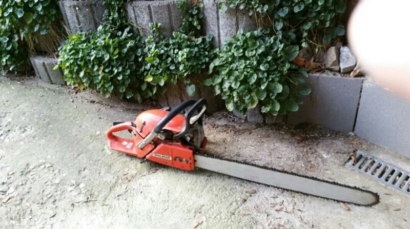 2015-12-26 10.29.54.jpg