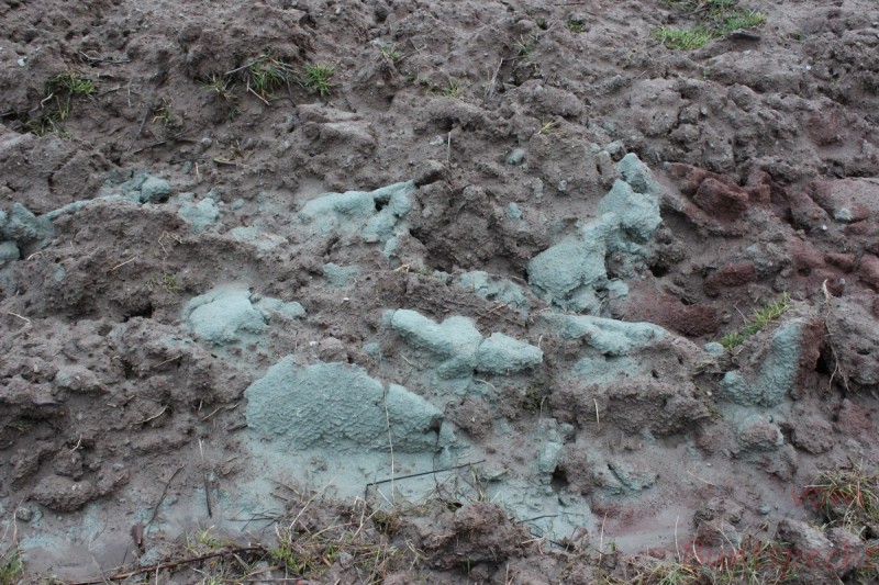 Bildla Nummära 001.jpg