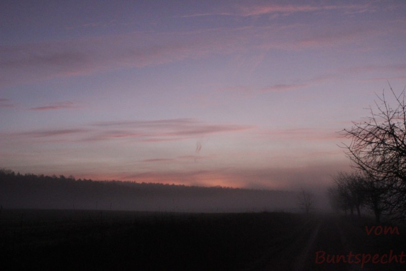 Bildla Nummära 002.jpg