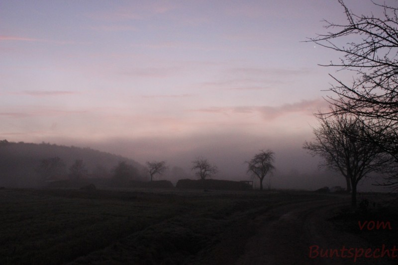 Bildla Nummära 003.jpg