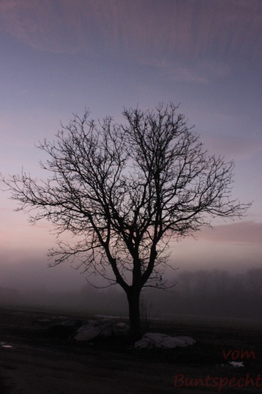 Bildla Nummära 004.jpg