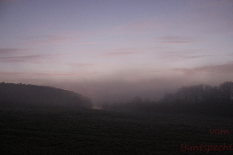 Bildla Nummära 005.jpg