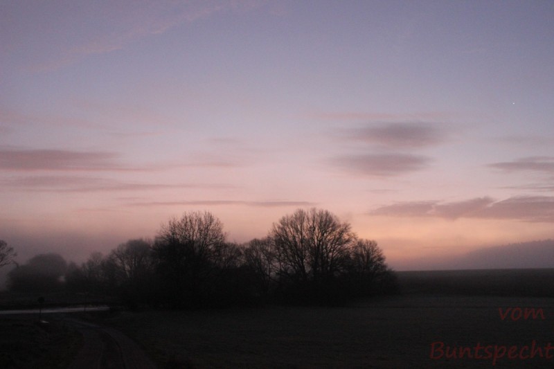 Bildla Nummära 007.jpg