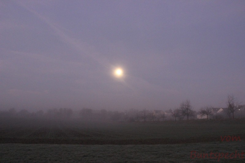 Bildla Nummära 008.jpg