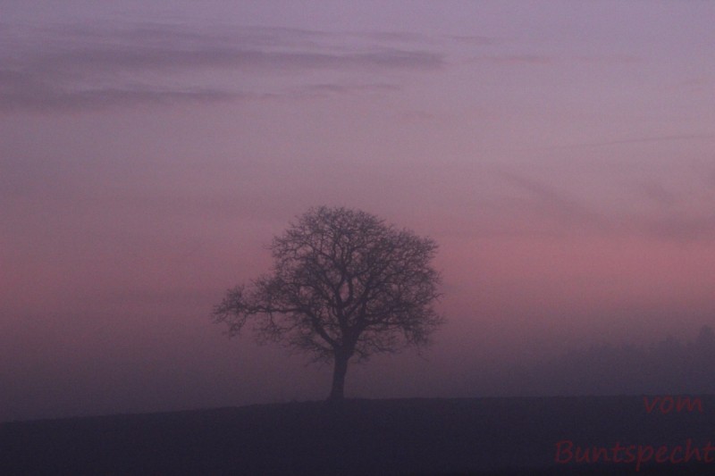 Bildla Nummära 009.jpg