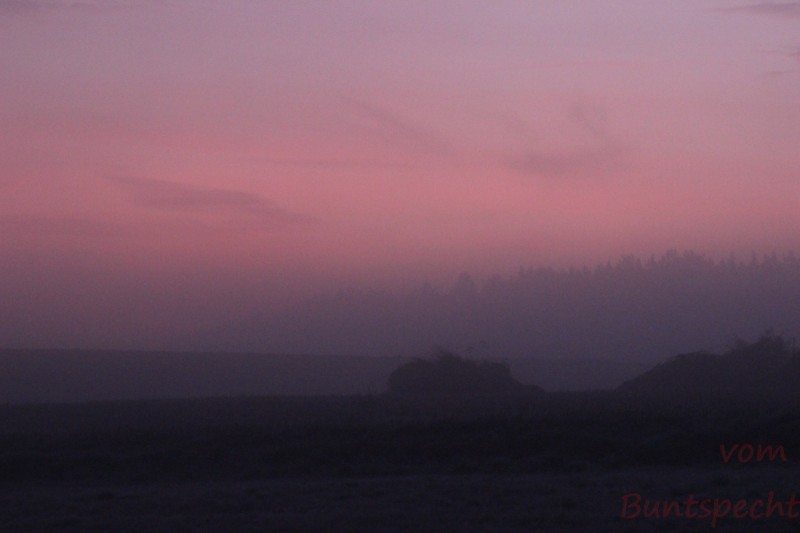 Bildla Nummära 010.jpg