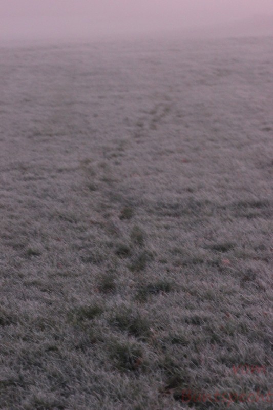 Bildla Nummära 011.jpg