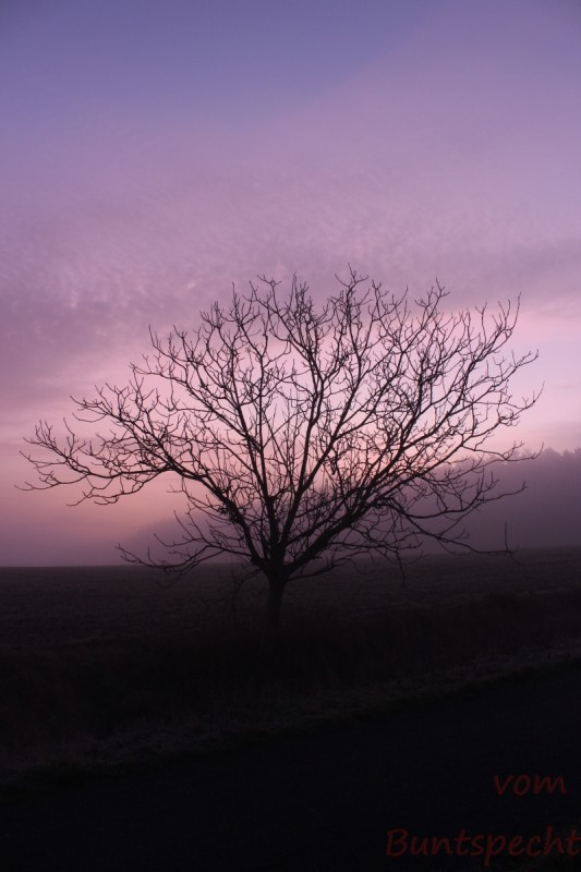 Bildla Nummära 014.jpg