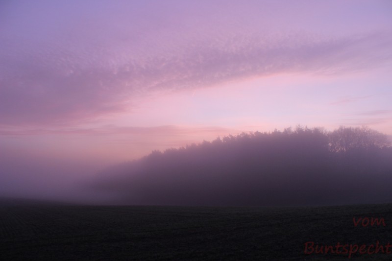 Bildla Nummära 015.jpg