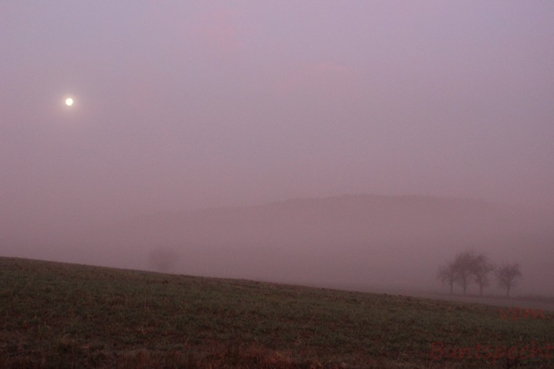 Bildla Nummära 016.jpg