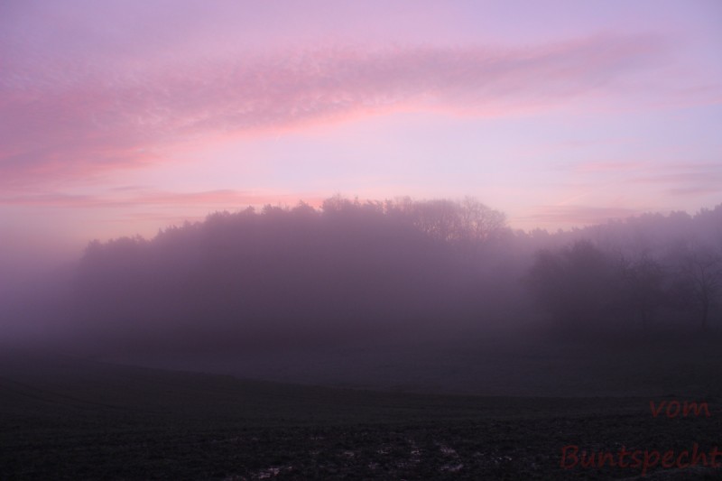 Bildla Nummära 017.jpg