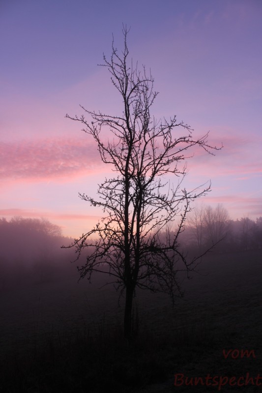 Bildla Nummära 018.jpg