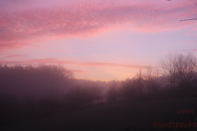 Bildla Nummära 019.jpg