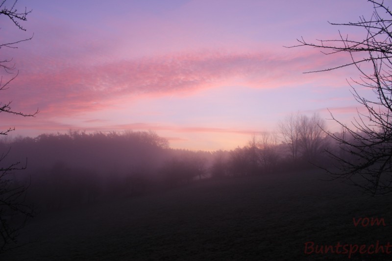 Bildla Nummära 020.jpg