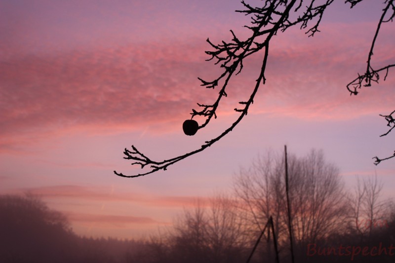 Bildla Nummära 021.jpg