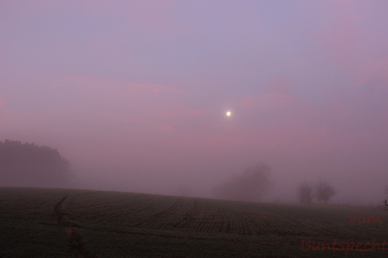 Bildla Nummära 022.jpg