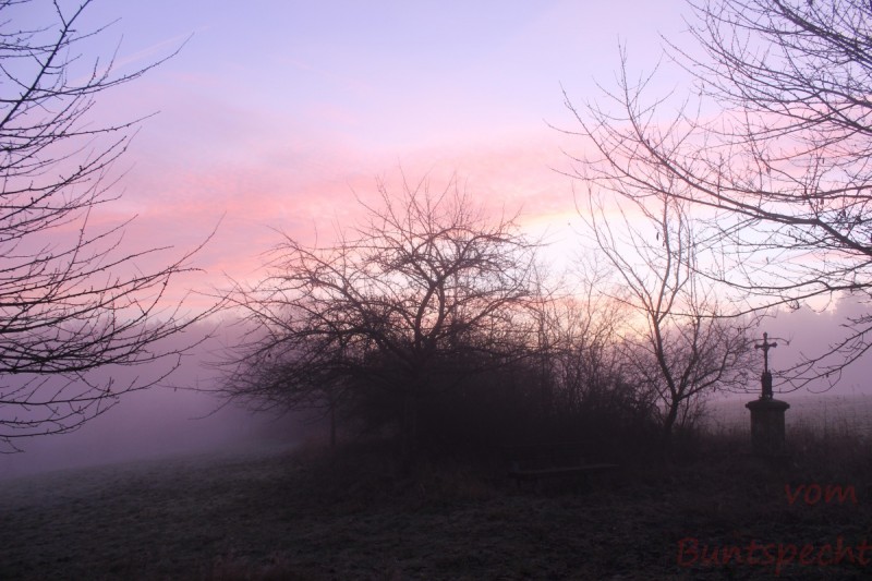 Bildla Nummära 023.jpg