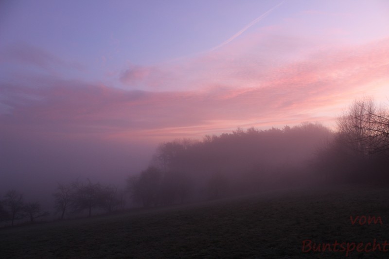 Bildla Nummära 024.jpg