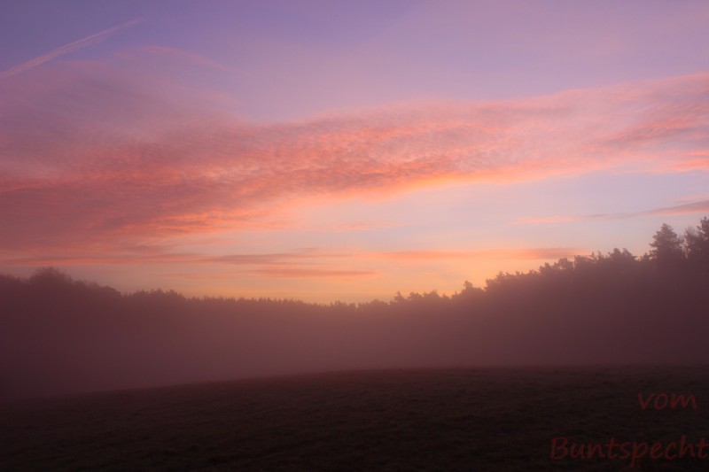 Bildla Nummära 025.jpg